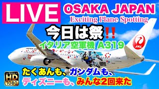 🔴 LIVE OSAKA ITAMI Airport ( JAPAN ) 2025/3/8 大阪伊丹空港   ライブカメラ