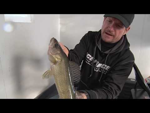 Wie Catch Big Walleye und Perch durch das Eis