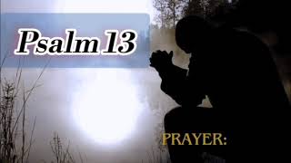 Psalm 13 | Short Meditation 