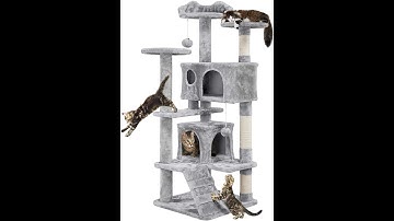 Cat Tree Tower Condo Furniture Scratch Post for Kittens Pet House Play unboxing and set up