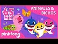 Las Mejores Canciones de Animales & Bichos | +Recopilación | Pinkfong Canciones Infantiles