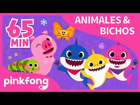 Las Mejores Canciones de Animales & Bichos | +Recopilación | Pinkfong Canciones Infantiles