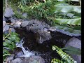 Lhistoire des thermes de hell bourg    le palatin de salazie