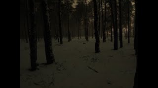 Savior Interlude (Instrumental) One hour Bass and Reverbed