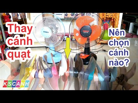 Video Thay Cánh Nào Cho Quạt Gió Là Hợp Lý! Bạn Có Biết? - youtube