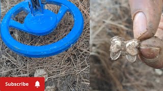 Metal Detecting Surprise: Finding a Stunning Gold Butterfly