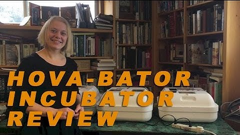Hova Bator Incubator Review