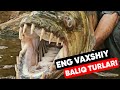 Eng vaxshiy 10 ta baliq turlari/Энг вахший 10 та балик турлари