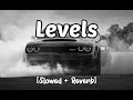 Levels Slowed Reverb Sidhu Mose Wala Attitude Remix Bass Boosted
