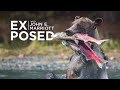 The Amazing MOUNTAIN GRIZZLIES of the Chilcotin | EXPOSED Wildlife Photography | EP 13