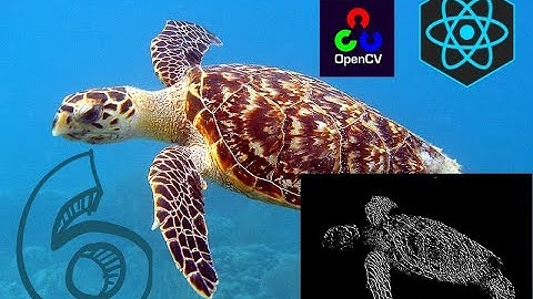 OpenCV.js React App Part 6