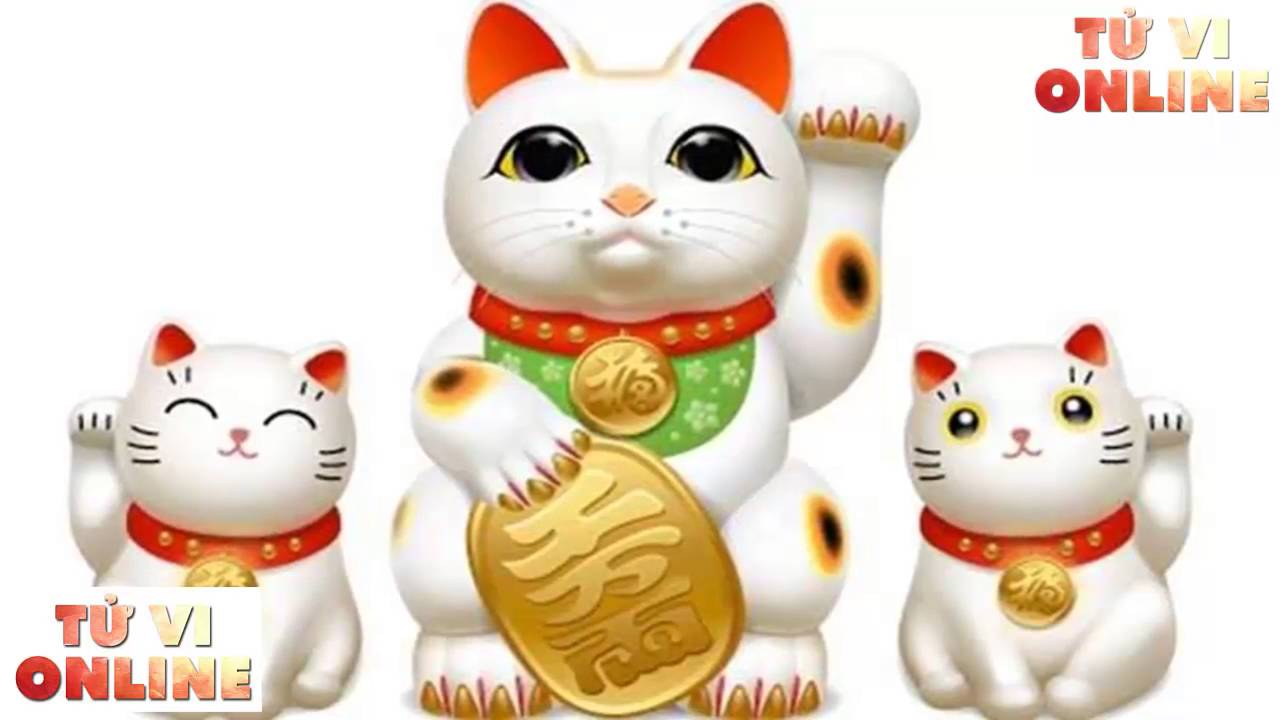 Китайские котики картинки