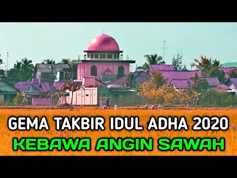 paling-merdu-gema-takbir-idul-adha-2020-terdengar-dari-sawah