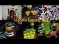 Vlog #peaceful evening vlog#lemon tea//reset //cleaning 