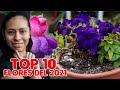 Top 10 Flores 🌺 favoritas del 2021😍🌹💐