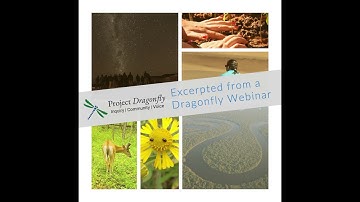 What are the GFP and AIP? (Project Dragonfly, Miami University)