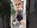 so cute girl translate in wigs 👌😍#HairWig #Wig #WigStyle #WigMagic #HairGoals #WigShorts #HairHack