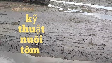 @Phơi vuông đúng cách/Tôm trúng đỉnh