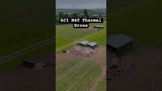 DJI MATRICE M4T #livestock #management #thermaldrone