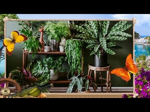 Vidéo: Semer Des Fleurs En Janvier