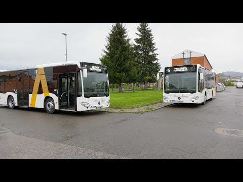 Ponferrada adquiere dos autobuses para las líneas 5 y 7 de Puente Boeza, La Placa y Fuentesnuevas