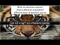 Keystone Species and Their Impact on Ecosystem Dynamics