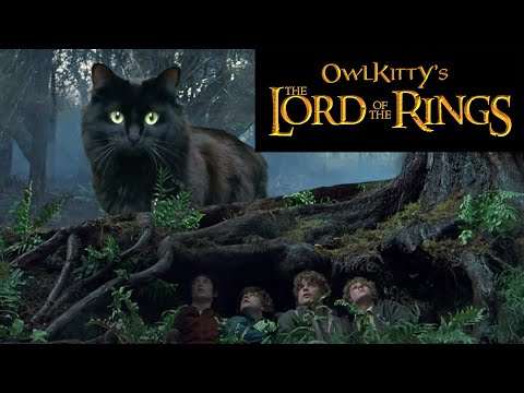 lord-of-the-rings----starring-my-cat-owlkitty