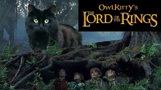 Lord Of The Rings -- Starring My Cat Owlkitty