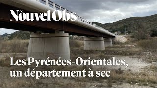 Pyrénées-Orientales : comment la sécheresse s'installe dans le département