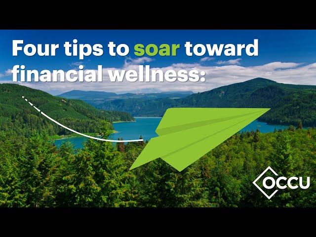 Watch 4 steps to soar towards financial wellness on YouTube.