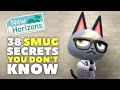 Animal Crossing New Horizons: 38 SMUG Secrets You Didn't Know!