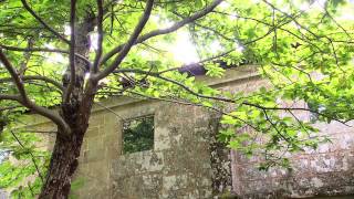 DGPM 1083 UN LUGAR DONDE MEDITAR