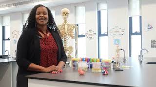 Ignite School Dubai - Welcome To The New Academic Year 2022 - 2023