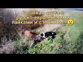 Загонная охота с русско-европейскими лайками и с НОЖОМ!!!