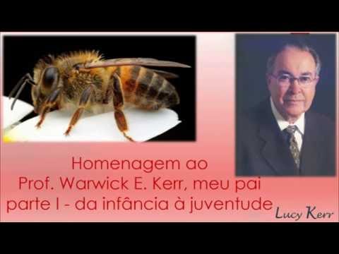 Morre aos 96 anos o cientista brasileiro Warwick Kerr, pai da Dra ...