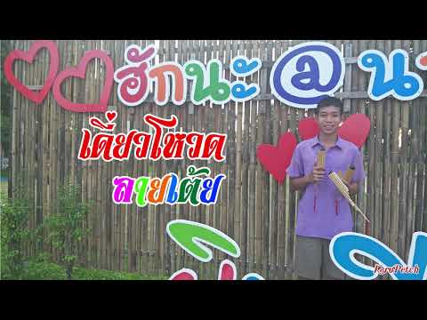 เดี่ยวโหวด ลายเต้ย