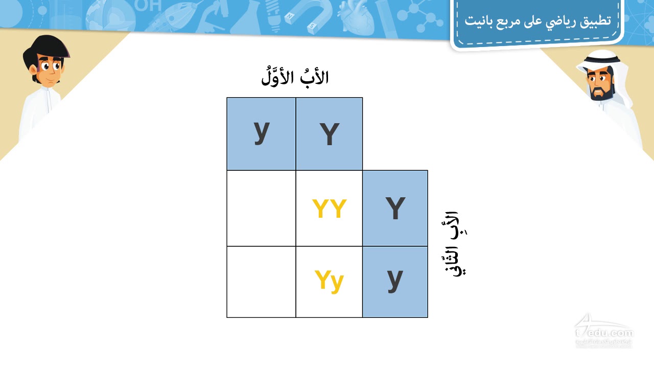 في مربع بانيت يمثل الحرف الكبير r الجين المتنحي