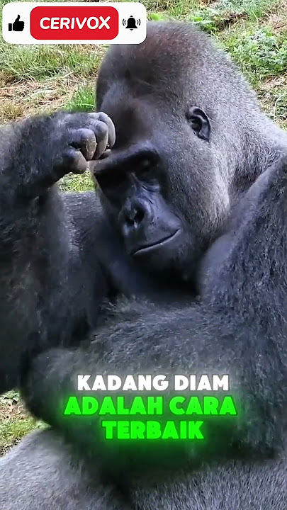 Download lagu #AkhirBulan #GajiMasihJauh #DompetKering #RelateBanget #KasbonDuluBos #KontenAbsurd #shorts