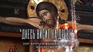 ДНЕСЬ ВИСИТ НА ДРЕВЕ | ХОР БРАТИИ ВАЛААМСКОГО МОНАСТЫРЯ