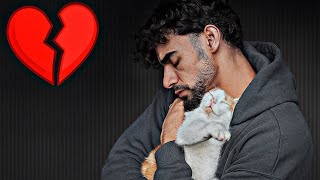 سعدون | النهايه 💔 🐈