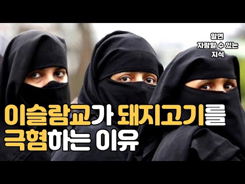 이슬람교에서 돼지고기를 금하는 이유