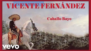 Vicente Fernández - Caballo Bayo (Letra / Lyrics)