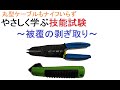 電気工事士受験・やさしく学ぶ技能～被覆の剥ぎ取り～