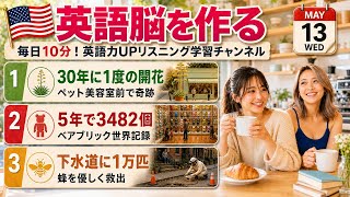 【英語ニュース】30年に1度の花がペット美容室前で開花＆5年で3482個ベアブリック＆下水道の蜂1万匹を救出｜英語聞き流し・英会話・シャドーイング・TOEIC・英語学習 | 2026-05-13