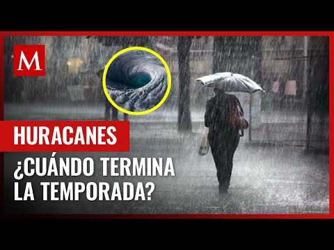 Esto dicen los