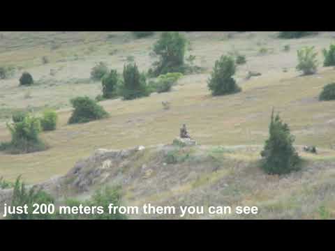 კოდა: ოკუპანტები და მანძილი პოლიციამდე