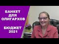 Выступление народного депутата Елены Шуваловой по бюджету на 2021 год