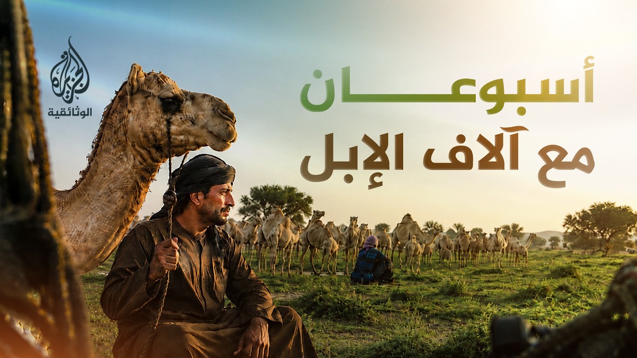 الخطلة.. رحلة الإبل التي تجمع قبائل ظفار