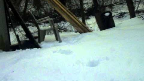 silly string can shot with a pellet gun