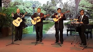 Trio los Romanticos ticos Locura mía ( Versión Acústica ) chords